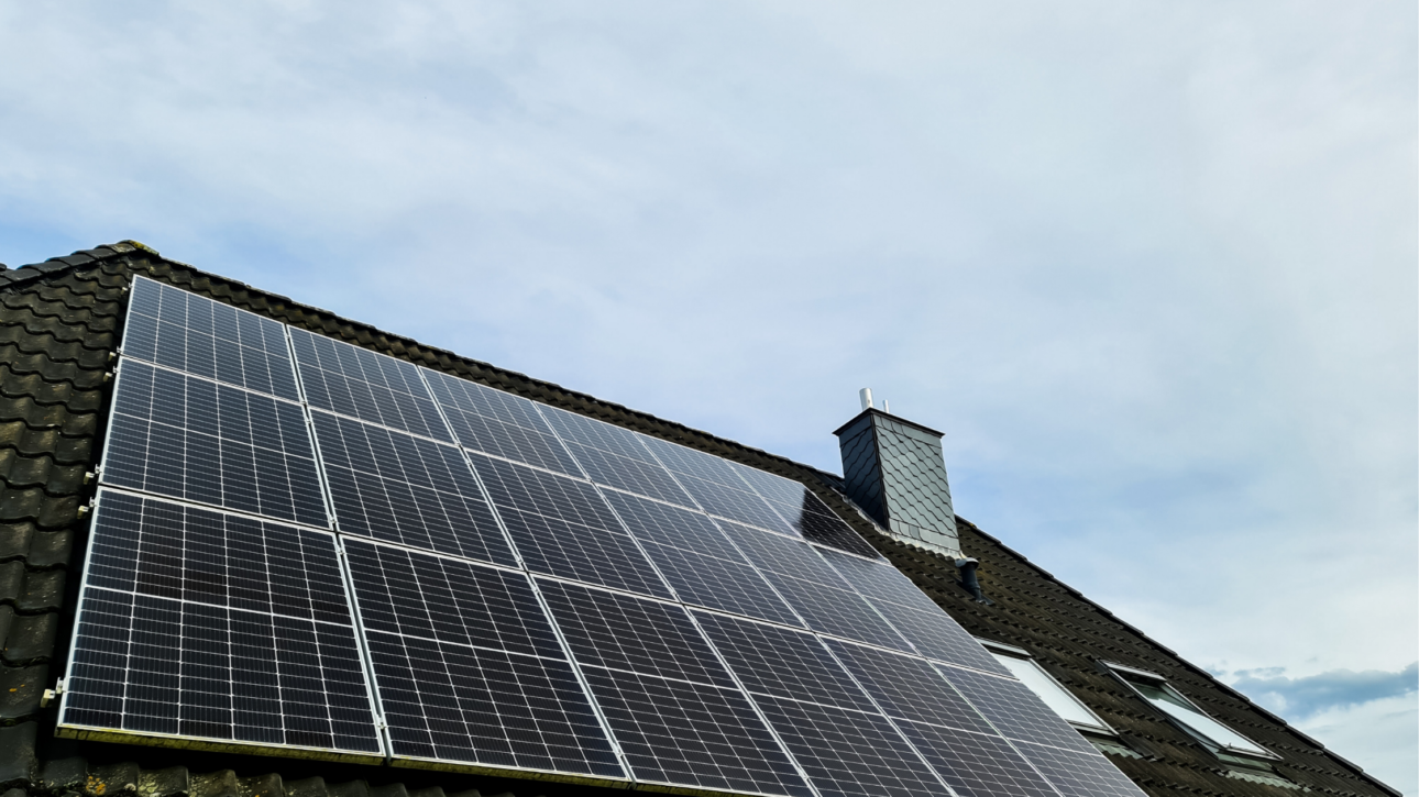 Bedrijfspand met zonnepanelen als illustratie van verplichte energiebesparende maatregelen